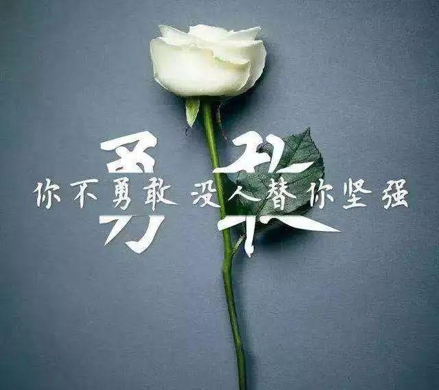 最新影視劇，引領(lǐng)視覺盛宴，探索未知世界