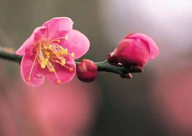 春暖花開(kāi)Sex8最新地址，探索與遇見(jiàn)