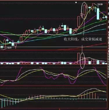 最新牛散持股一覽表，揭示市場(chǎng)主力動(dòng)向