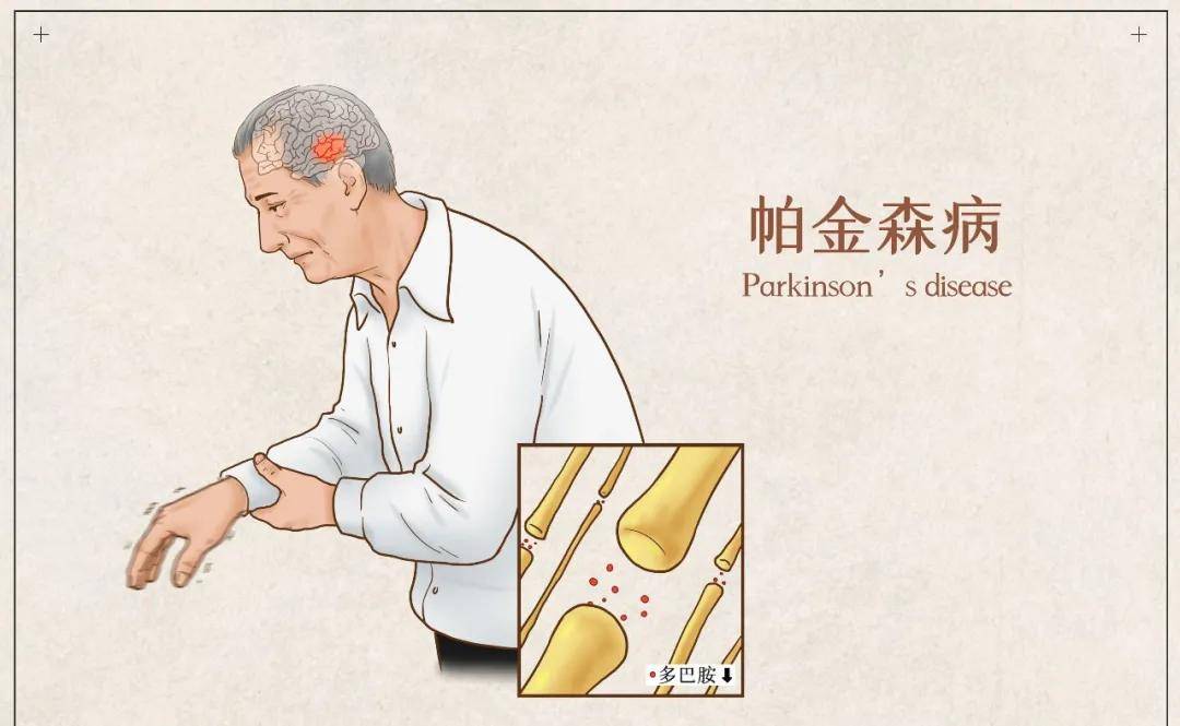 第24頁