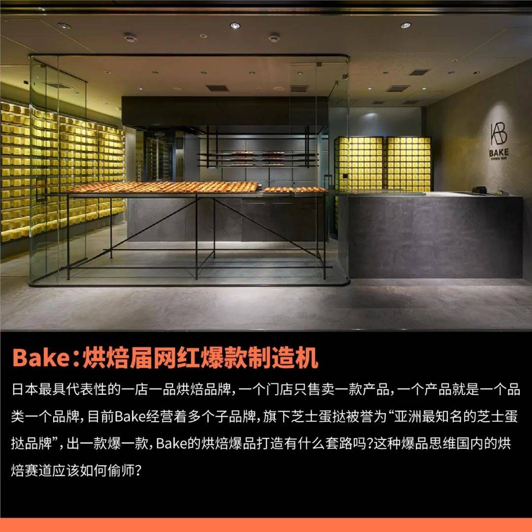 新聞最新，全球動(dòng)態(tài)與社會熱點(diǎn)深度解析